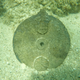 The astrolabe still underwater at the site.